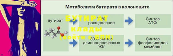 ГАЛЛЮЦИНОГЕННЫЕ ГРИБЫ Богданович